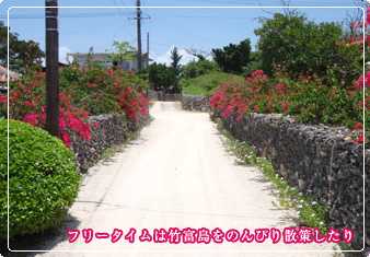竹富島シュノーケリング
