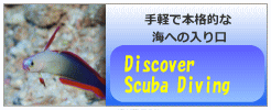 discover diving