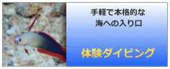 体験ダイビング