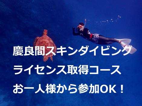 慶良間スノーケリングツアー