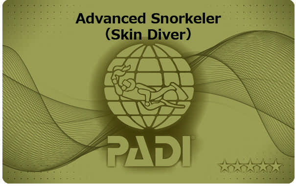 PADI Advanced Snorkeler （Skin Diver）