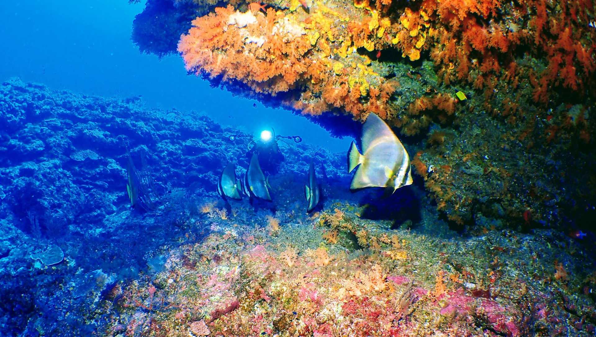 ルカン礁ツアー画像１