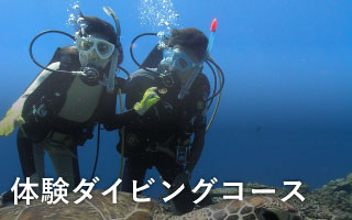沖繩体験ダイビング