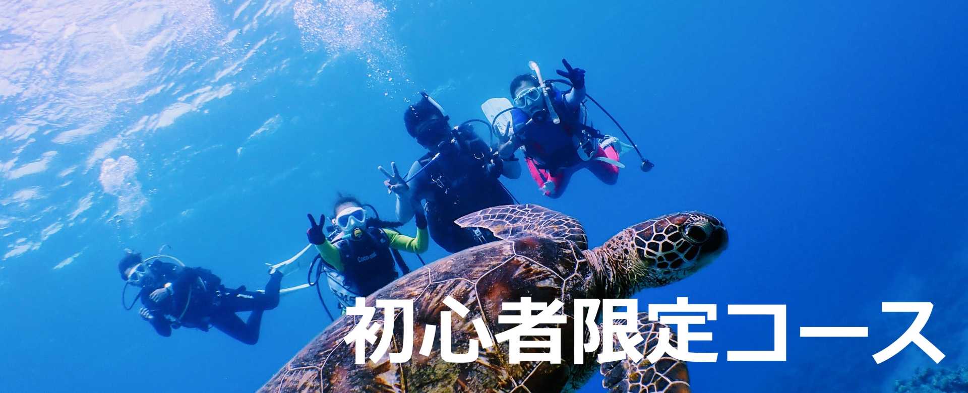 初心者限定コースバナー