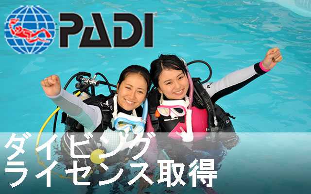 PADIダイビングライセンス取得ならパラダイス倶楽部