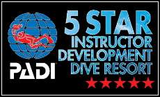 PADI5スターIDセンターで豊富な認定実績