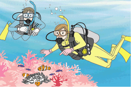 PADIアドバンスドオープンウォーターダイバーコースのナチュラリストダイブで水中世界を理解しよう