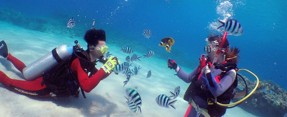 初心者限定コースの参加者の男女が魚に餌付けする様子