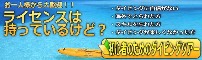 初心者専用のダイビングツアー