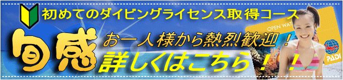 はじめてのダイビングライセンス
