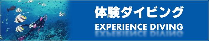 体験ダイビング