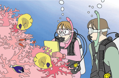 魚の見分け方