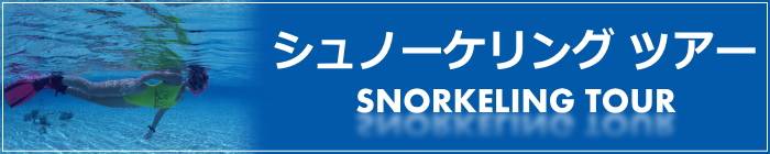 シュノーケリング