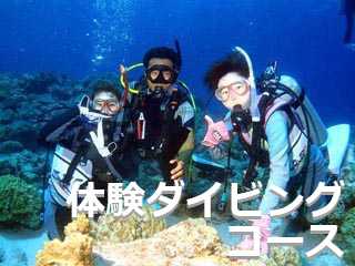 沖繩体験ダイビング