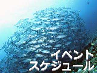 パラダイス倶楽部沖縄店　イベントスケジュール