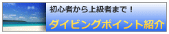 沖縄ダイビング ポイント紹介