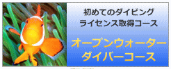 ダイビングライセンス