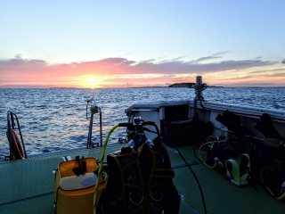 沖縄 七夕ナイトダイビング